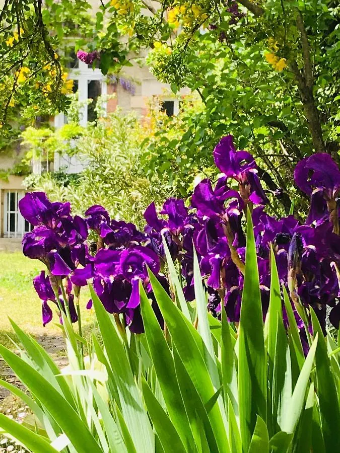 Bed & Breakfast La Maison Des Roses Moulins  Francie